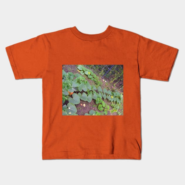 Pumpkin Blossom Foliage & Fruit Kids T-Shirt by Hajarsdeco